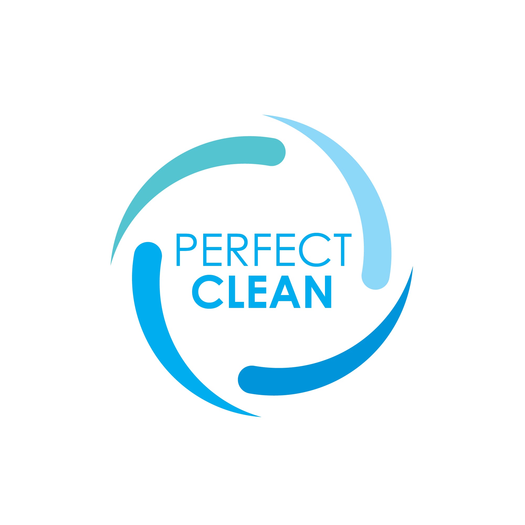 Perfect Clean Logo